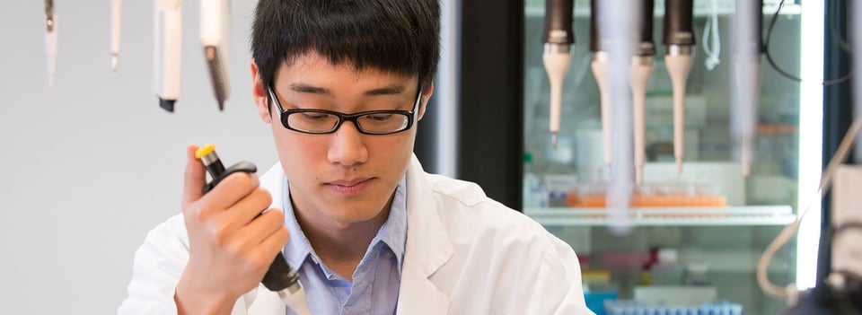 The George Washington University