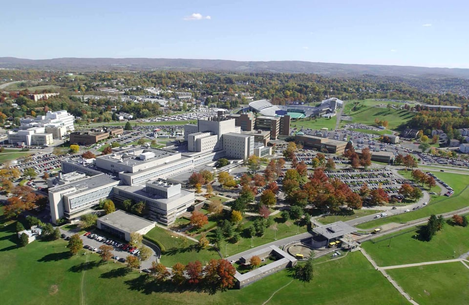 Movement Disorders Fellowship