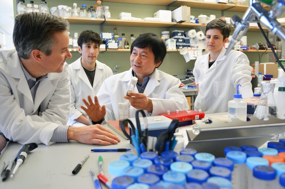 Podiatric Medicine and Surgery Residency