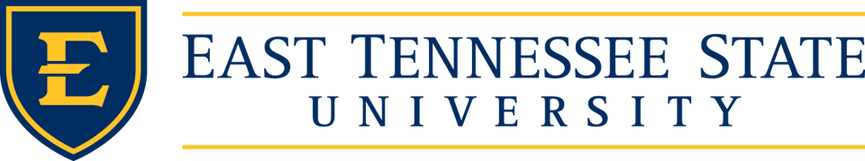 SEAL Global Surgery Fellowship